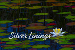 Silver Linings 2025 by Tower Health